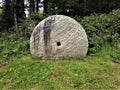 Lichen on Vintage Grist Mill Stone Grinding Wheel Royalty Free Stock Photo