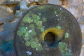 Lichen on Vintage Grist Mill Stone Grinding Wheel