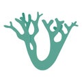 Lichen yagel silhouette in two colors