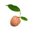 Lichi