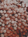 Lichi fruit  photo Royalty Free Stock Photo
