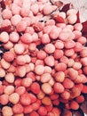 Lichi fruit  photo Royalty Free Stock Photo