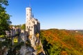 Lichtenstein castle near Honau