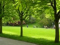 Lichtentaler Allee in Baden-Baden in spring