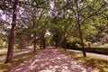 The Lichtentaler Allee in Baden Baden, Baden-Baden, Germany, Eur