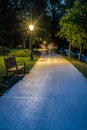 Lichtentaler Allee at Night in Baden-Baden