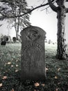 Clasped hands cemetery tombstone died 1866 Royalty Free Stock Photo