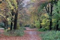 Lickey Hills Country Park