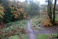 Lickey Hills Country Park