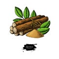 Licorice Root Bunch With Leaves. Vector Drawing. Botanical Illustration
