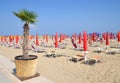 Lido di Jesolo,adriatic Sea,Italy Royalty Free Stock Photo