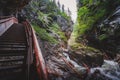 Liechtenstein canyon in Upper Austran Alps. Royalty Free Stock Photo