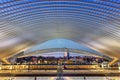 Belgium Liege Guillemins train railway station hall platform trains Santiago Calatrava