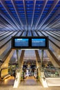 Santiago Calatrava Liege Guillemins train railway station portrait format Belgium