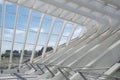 Liege-Guillemins