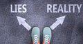 Lies and reality as different choices in life - pictured as words Lies, reality on a road to symbolize making decision and picking