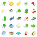 Life asserting icons set, isometric style