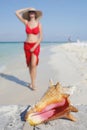 Life is a Beach (Conch) Royalty Free Stock Photo