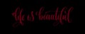 life is beautiful - mehroon hand lettering inscription text Royalty Free Stock Photo