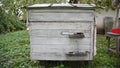 Life of bees, entrance to the hive, in the garden, chickens