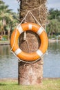 Life buoy hanging on tree nearby the lake, for safety and Royalty Free Stock Photo