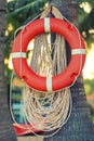 Life Buoy on palm tree Royalty Free Stock Photo