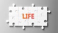 Life complex like a puzzle - pictured as word Life on a puzzle pieces to show that Life can be difficult and needs cooperating