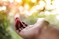 Life Concept. Opened Hand in front of the Natural Light in the Morning. Blurred Tree and Sun Flare as background Royalty Free Stock Photo