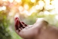 Life Concept. Opened Hand in front of the Natural Light in the Morning. Blurred Tree and Sun Flare as background