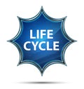 Life Cycle magical glassy sunburst blue button Royalty Free Stock Photo