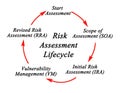 Risk Assessment