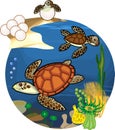 Life cycle of sea turtle. Stages of development of turtle from egg to adult animal