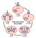 Life cycle of virus infection with development process stages outline diagram Royalty Free Stock Photo