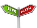 Life and death Royalty Free Stock Photo