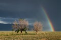 Life and Death - Rainbow Landscape