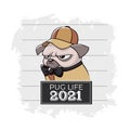 Life of disgruntled pug in 2021. Gloomy cute dog dressed in suit with baseball cap. Royalty Free Stock Photo