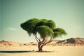 Life ecology solitude concept - lonely green tree in desert dunes Royalty Free Stock Photo
