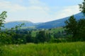 Life in the fields of mountains Royalty Free Stock Photo