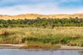 Life full of vegetation on the Nile River near Luxor Thebes Egypt