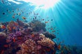Life-giving sunlight underwater. Sun beams shinning underwater on the tropical coral reef.Ecosystem and environment conservation Royalty Free Stock Photo