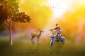 Life is good- child on bike with deer