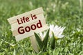 Life is good Royalty Free Stock Photo