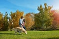 Life is great, dogs make it better. a loving young couple taking their dog for a walk through the park. Royalty Free Stock Photo