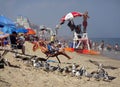 Life Guard and Seagulls