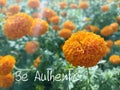 Life inspirational motivational quote - Be authentic. Be yourself concept with sunlight over marigold flowers garden background.