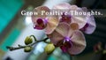 Life inspirational motivational quote - Grow positive thoughts. Spring quotes. On beautiful purple orchid flower. Royalty Free Stock Photo