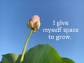 Life inspirational and motivational quote - I give myself space to grow. Words of wisdom. Note to self. Self love care.