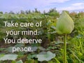 Life inspirational motivational quote - Take care of your mind. Your deserve peace. With green baby lotus flower growth on pond.