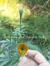 Life inspirational and positive motivational quote - Think more good thoughts today. With hand holding baby marigold flower.