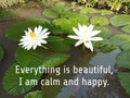 Life inspirational quote - Everything is beautiful. I am calm and happy. Self affirmation words with white lotus flower plants Royalty Free Stock Photo